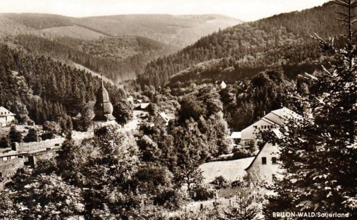 Die Hammerhuette Willingen  Zewnętrze zdjęcie